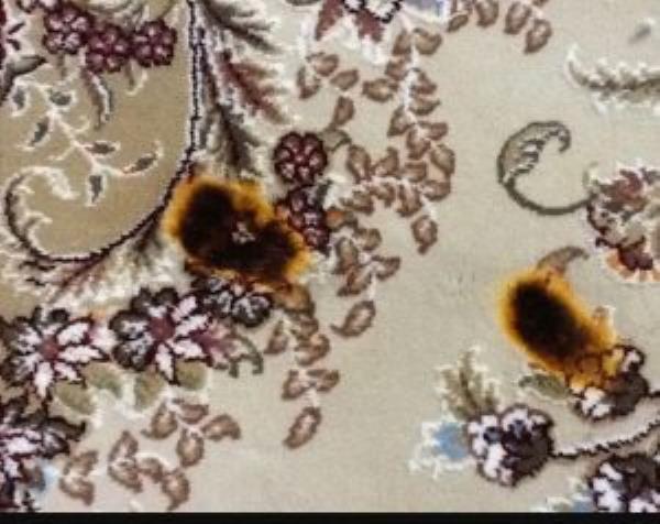 چگونه سوختگی فرش را از بین ببریم ؟